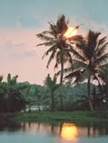 Foto: Sonnenuntergang in den Backwaters, Kerala