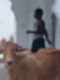 Bosch: Interkulturelle Teamarbeit
